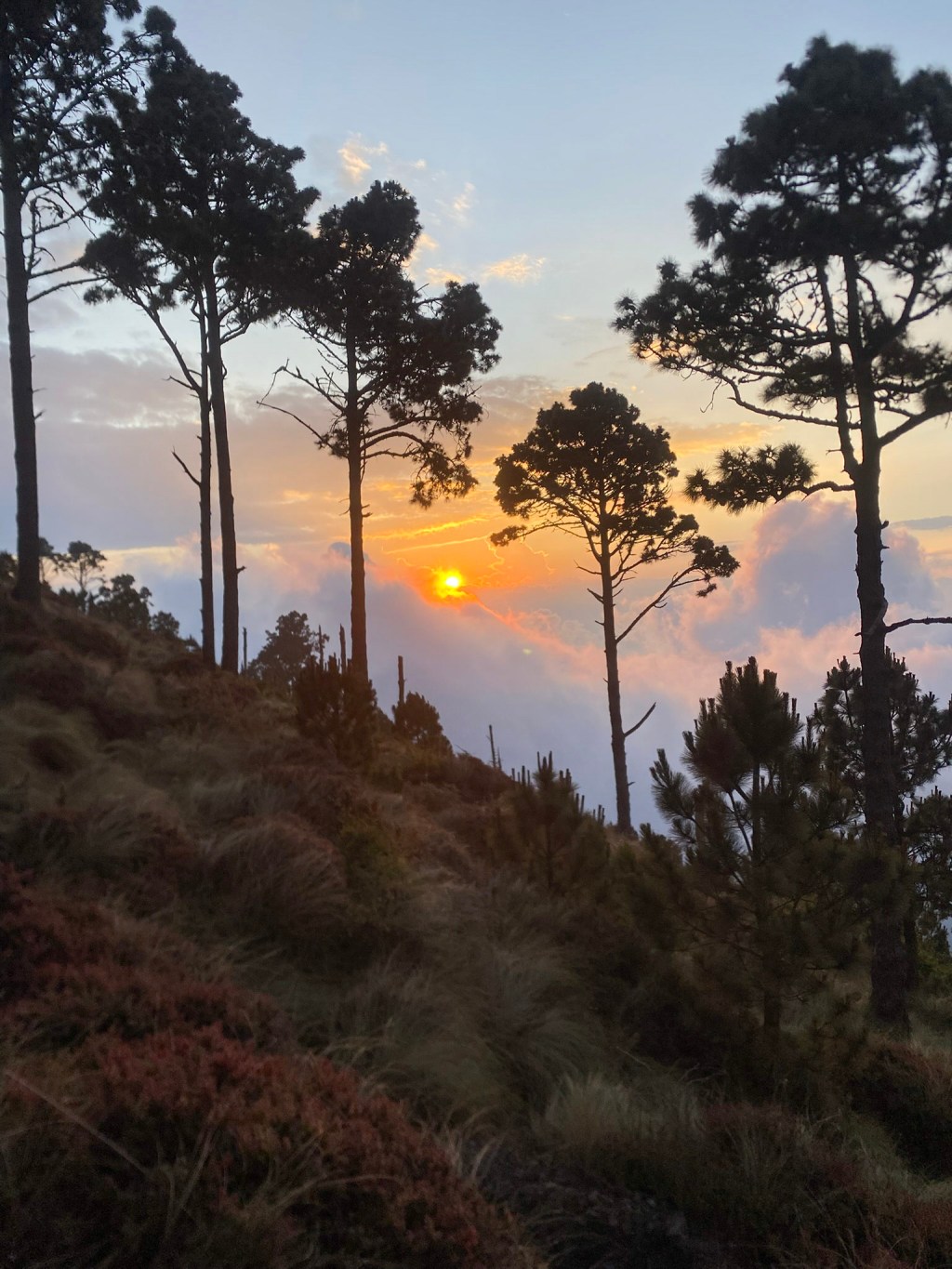Backpacking Central America: Surviving Dengue in Nicaragua and Hiking Acatenango in&nbsp;Guatemala
